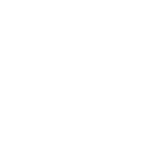 Facebook Badge