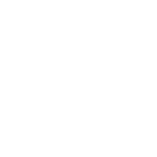 Twitter Badge